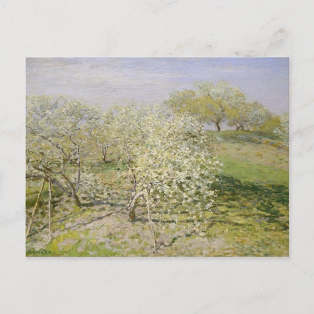 Claude Monet | Vår Fruit Träd i Bloom Vykort (Framsida)