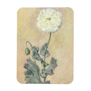 Claude Monet vitvallmo, 1883 Magnet