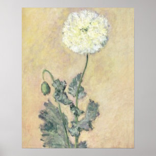 Claude Monet vitvallmo, 1883 Poster