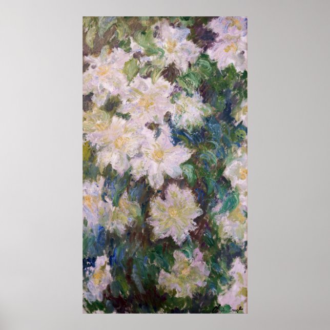 Claude Monet - White Clematis Poster (Framsidan)