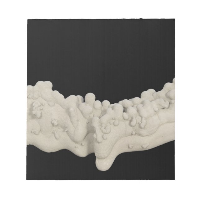 Clay Concretion Anteckningsblock (Framsida)