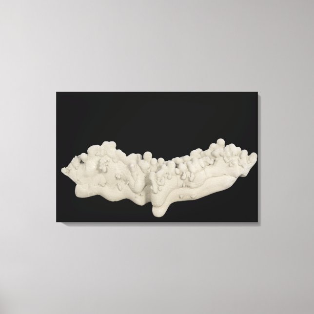 Clay Concretion Canvastryck (Framsida)