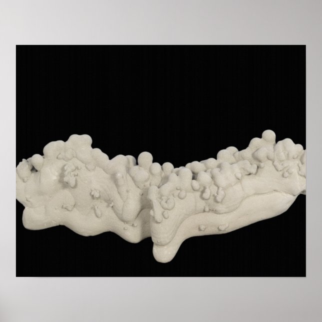 Clay Concretion Poster (Framsidan)