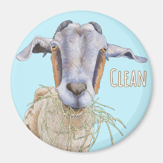 Clean Goat Dishwash Magnet -