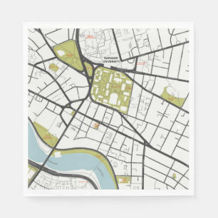 CLEAN HARVARD UNIVERSITETEN MASSACHUSETTS OUTLINE PAPPERSSERVETT