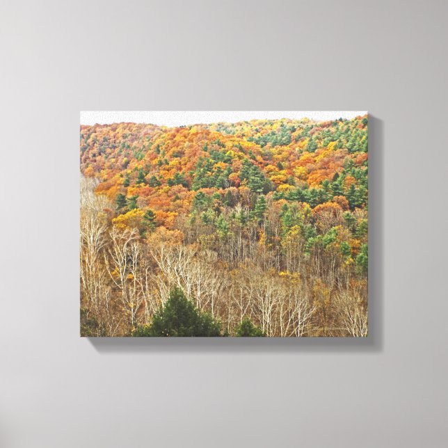 CLEAR FORK GORGE,MOHICAN MEMORIAL STATE SPROEST CANVASTRYCK (Framsida)