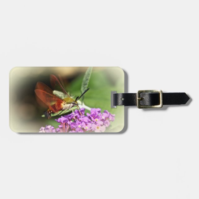 Clearing Hawk Moth - Hemaris thysbe Bagagebricka (Horisontell Framsida)