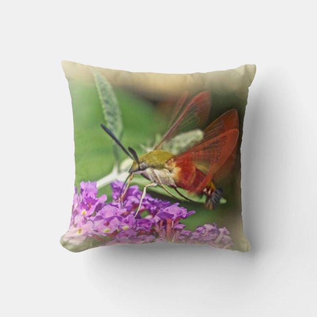 Clearing Hummingbird Hawk Moth Kudde (Framsida)