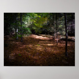 Clearing i en Mörk Forest Poster
