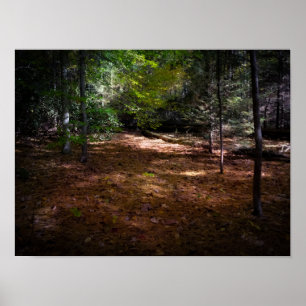 Clearing i en Mörk Forest Poster