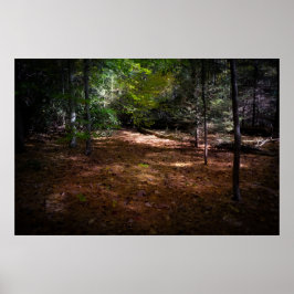 Clearing i en Mörk Forest Poster