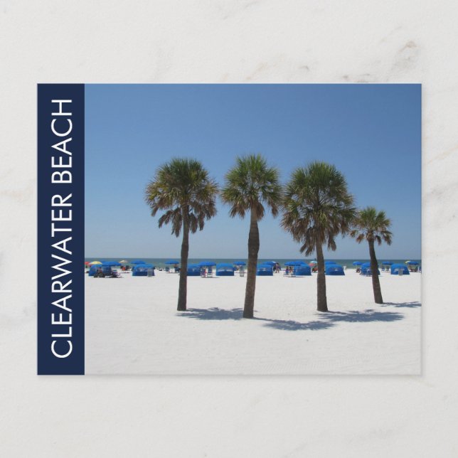 Clearwater Beach FL Vykort (Framsida)