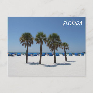 Clearwater Beach FL Vykort