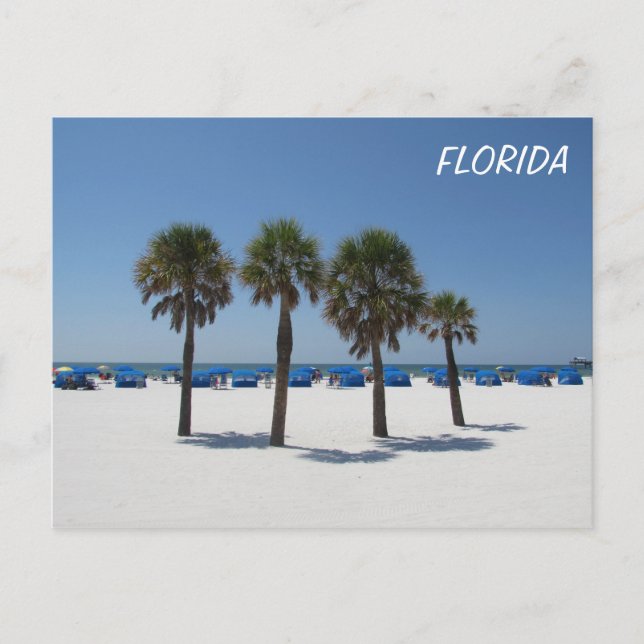 Clearwater Beach FL Vykort (Framsida)