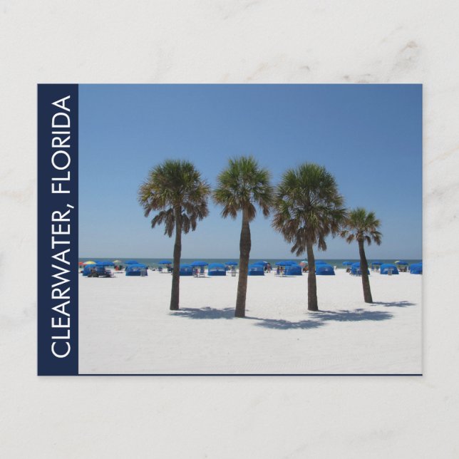 Clearwater Beach FL Vykort (Framsida)