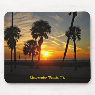 Clearwater Beach, Florida Musmatta