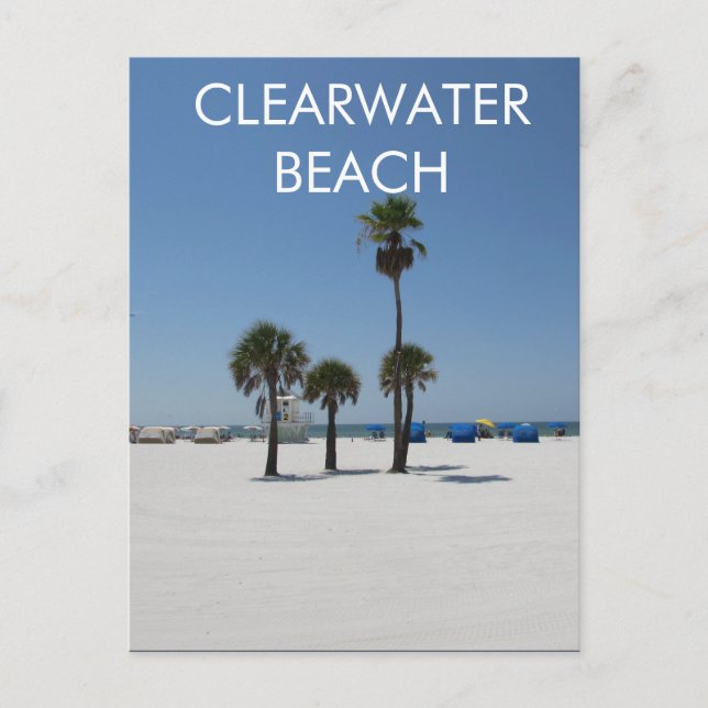 Clearwater Beach Florida Postcard Vykort (Framsida)