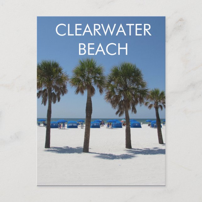 Clearwater Beach Florida Postcard Vykort (Framsida)