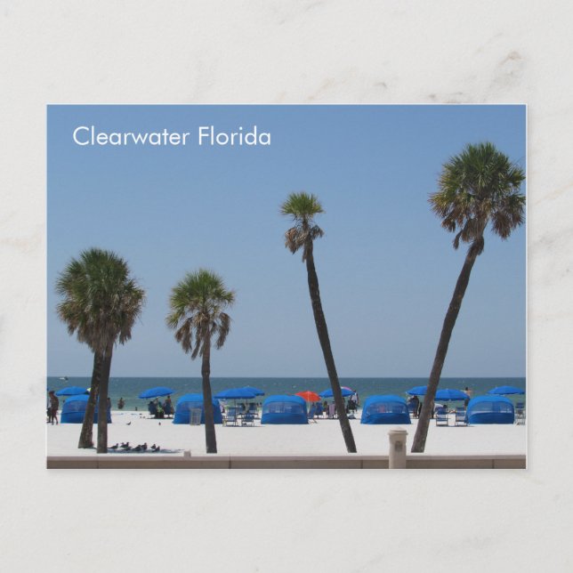 Clearwater Beach, Florida Vykort (Framsida)