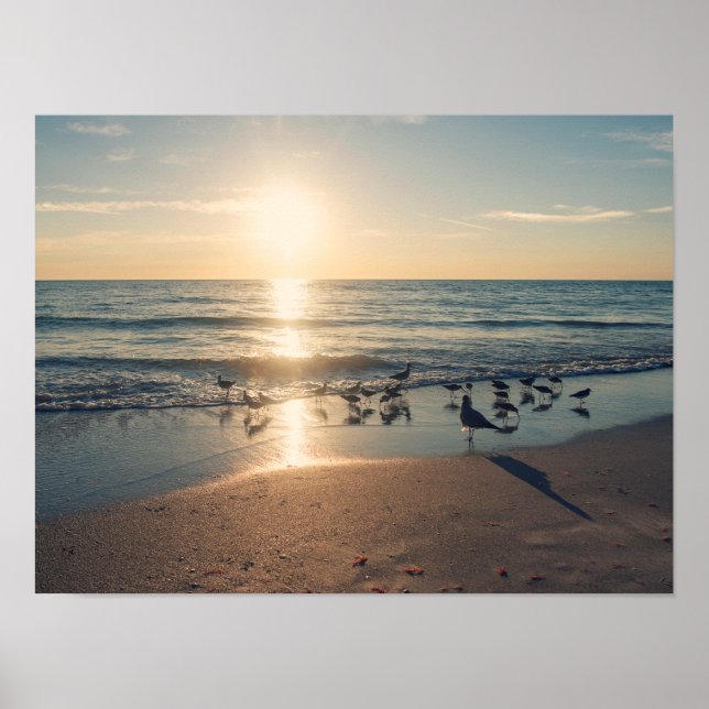 Clearwater Beach Sunset Poster (Framsidan)