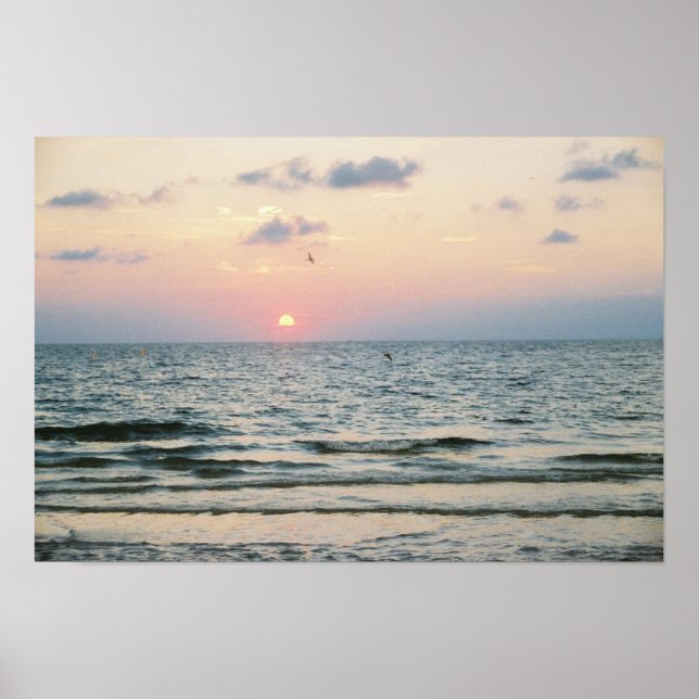 Clearwater Beach Sunset Poster (Framsidan)