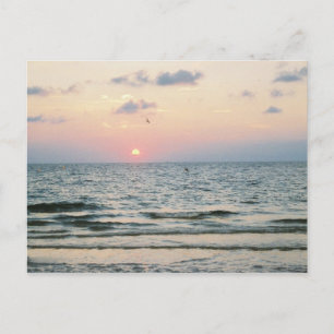 Clearwater Beach sunset vycard Vykort