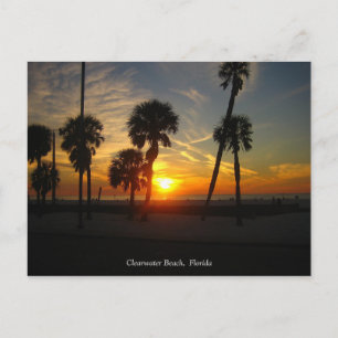 Clearwater Beach Sunset-vykort Vykort