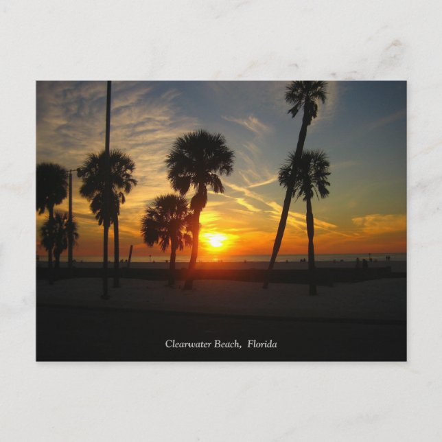 Clearwater Beach Sunset-vykort Vykort (Framsida)
