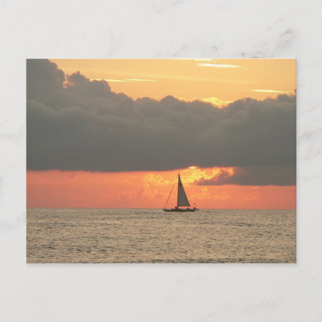 Clearwater Beach Sunset-vykort Vykort (Framsida)