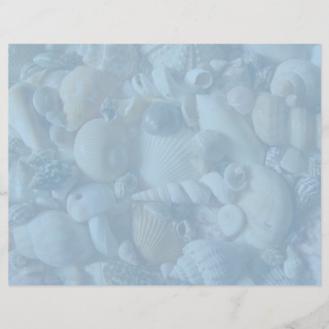 Clearwater Blue Blank Seashell Letterhead Papper (Framsida)