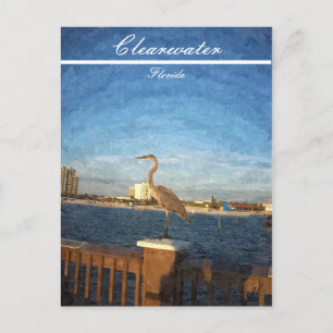 Clearwater Florida Beach Scene Vykort