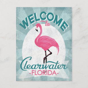 Clearwater Florida Rosa Flamingo Retro Vykort