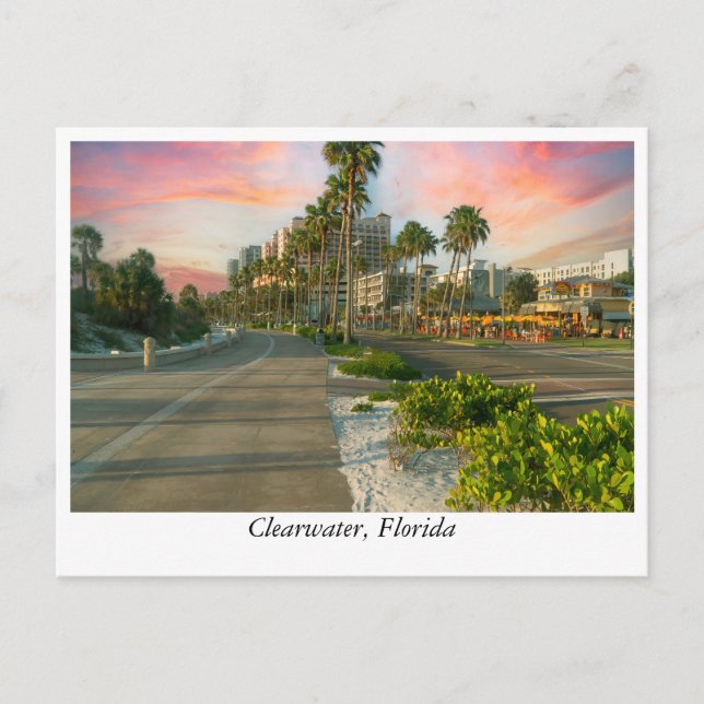 Clearwater i centrala staden: Floridas kustområde Vykort (Framsida)