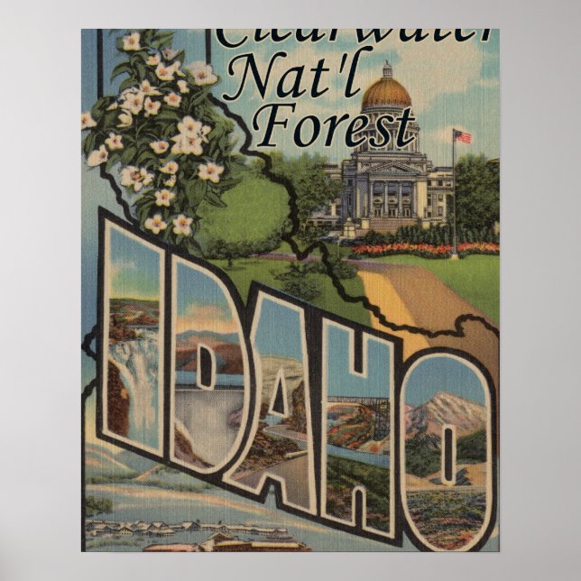 Clearwater Nat'l Forest, Idaho Poster (Framsidan)