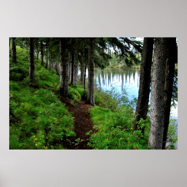 Clearwater River Trail Poster (Framsidan)