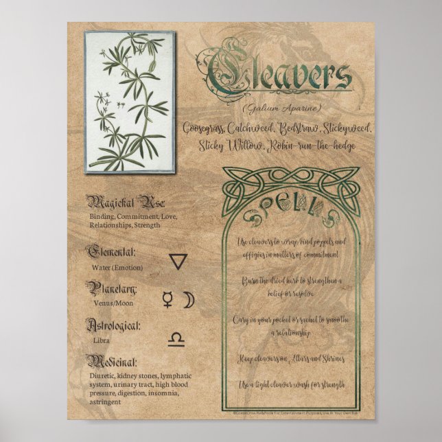 Cleavers Herbal Bok of Shadows Pagan Wiccan Poster (Framsidan)
