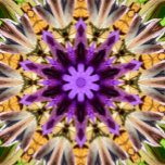 CLEMATIS<br><div class="desc">En vacker och levande abstrakt utformning av en lila clematis-blomma.</div>