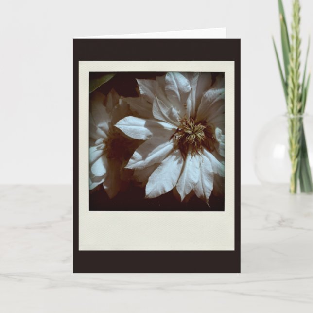 Clematis 1 Condolences Sympathy Note-kort Tack Kort (Framsida)