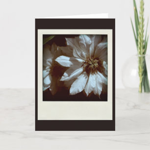 Clematis 1 Condolences Sympathy Note-kort Tack Kort