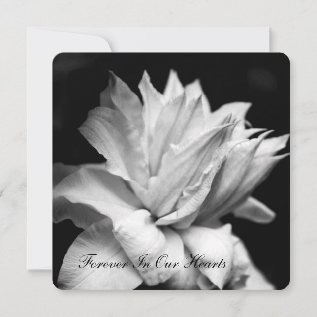 Clematis 1b Funeral Memorial-meddelande Inbjudningar (Framsida)