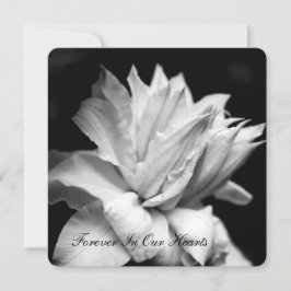 Clematis 1b Funeral Memorial-meddelande Inbjudningar