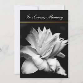 Clematis 1c Funeral Memorial-meddelande Inbjudningar
