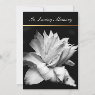 Clematis 1c Funeral Memorial-meddelande Inbjudningar