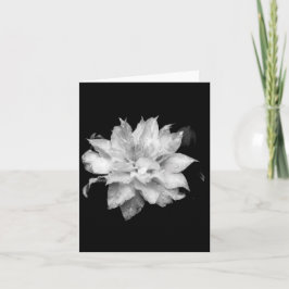 Clematis 2 Blank Note Card-kondoleanser sympati Tack Kort