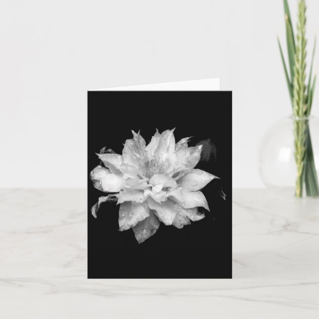 Clematis 2 Blank Note Card-kondoleanser sympati Tack Kort (Framsida)
