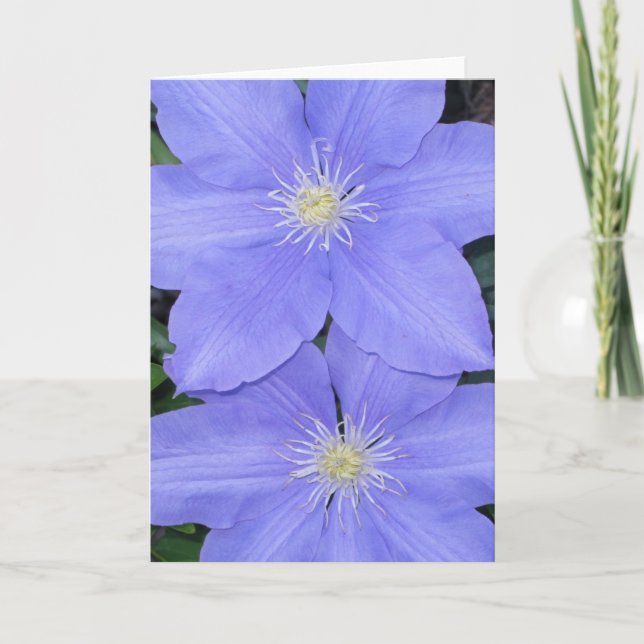 Clematis 2 noterar kortet kort (Framsida)