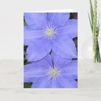 Clematis 2 noterar kortet kort