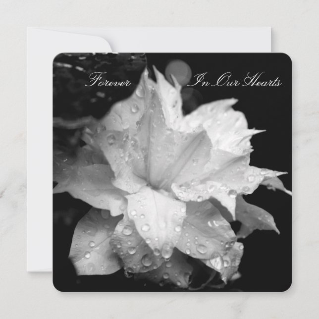 Clematis 2b Daggdroppar Begravningsannons Inbjudningar (Framsida)