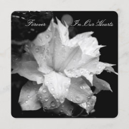 Clematis 2b Daggdroppar Begravningsannons Inbjudningar