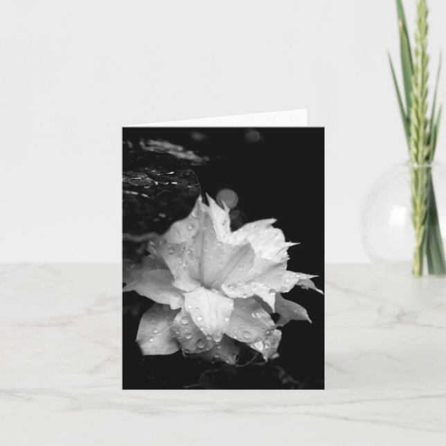 Clematis 3 Blank Note Card Condolations Sympathy Tack Kort (Framsida)